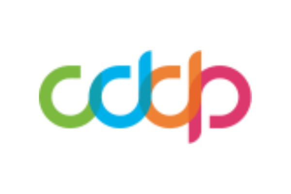 Commercial Directors Diversity Program (CDDP)