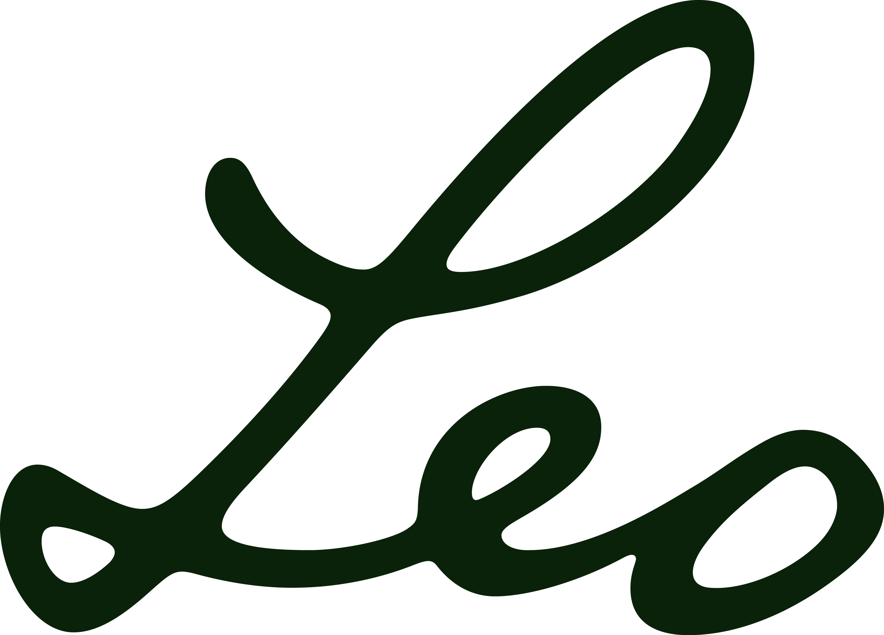leo script logo